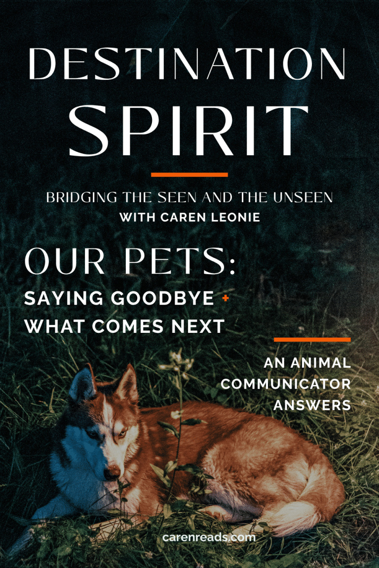 A Red Husky rests in dark grass with cool blue shadows and warm light. Text reads: “Destination Spirit. Bridging the Seen and the Unseen with Caren Leonie. Our Pets: Saying Goodbye + What Comes Next. An Animal Communicator Answers. carenreads.com.”