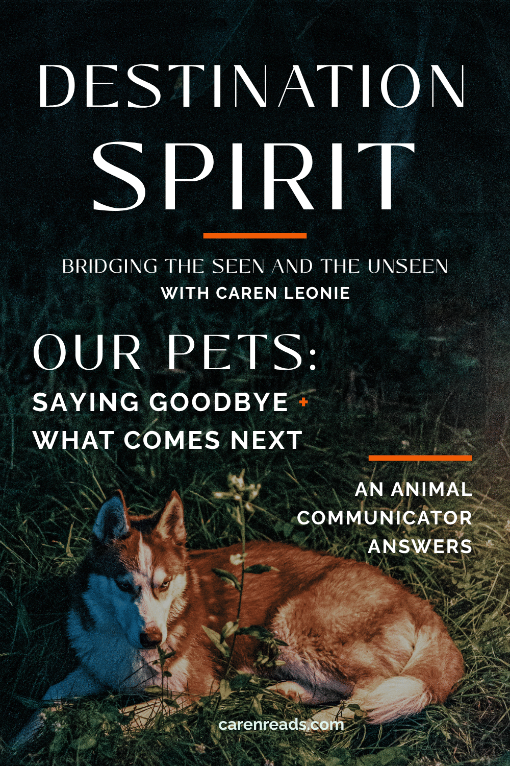 A Red Husky rests in dark grass with cool blue shadows and warm light. Text reads: “Destination Spirit. Bridging the Seen and the Unseen with Caren Leonie. Our Pets: Saying Goodbye + What Comes Next. An Animal Communicator Answers. carenreads.com.”